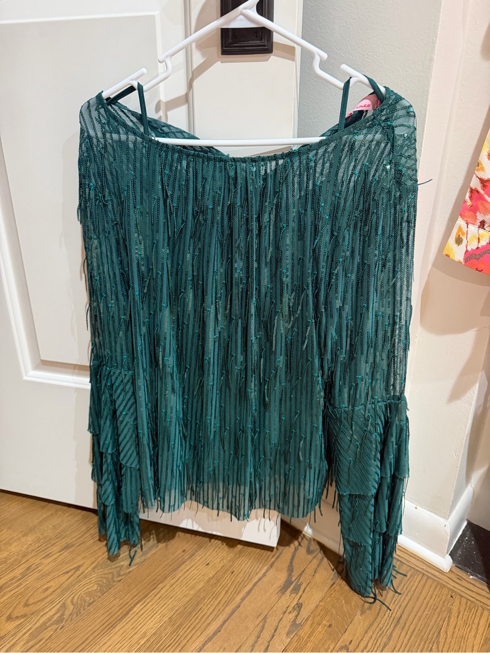 Eva Franco Teal Fringe Long-Sleeve Top